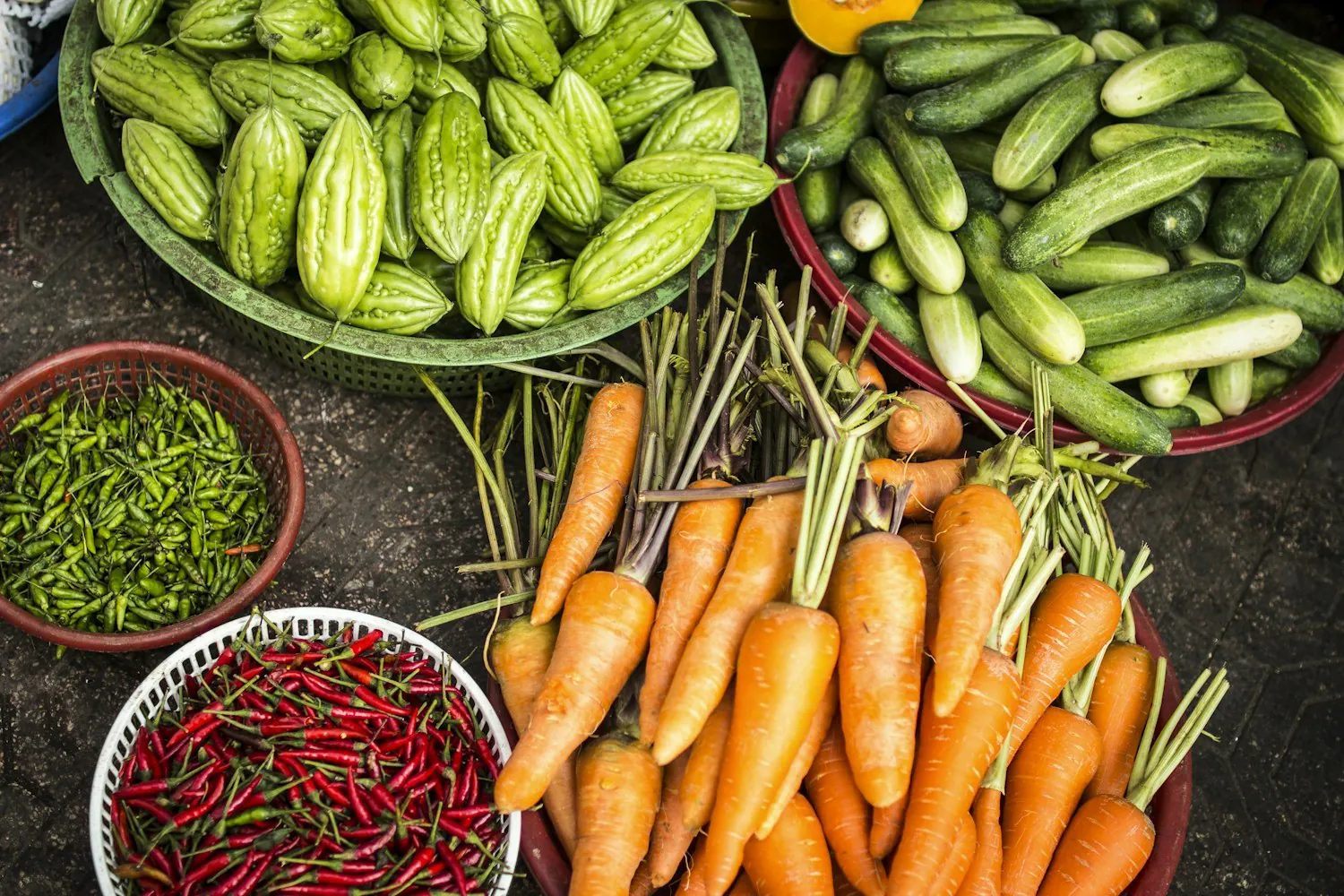 Fresh vegetables growing at a trusted farm