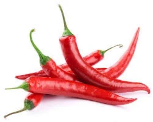 Hot chili RED