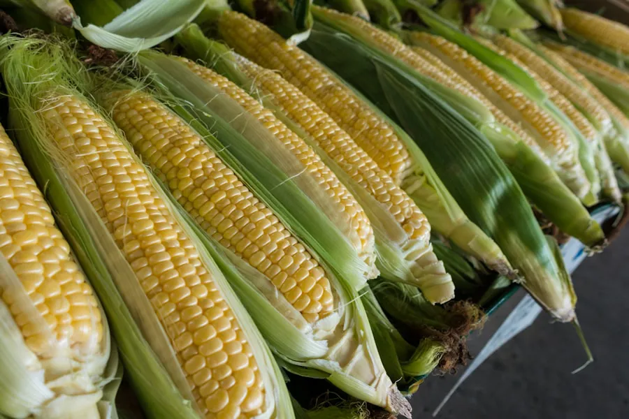 Baby Corn