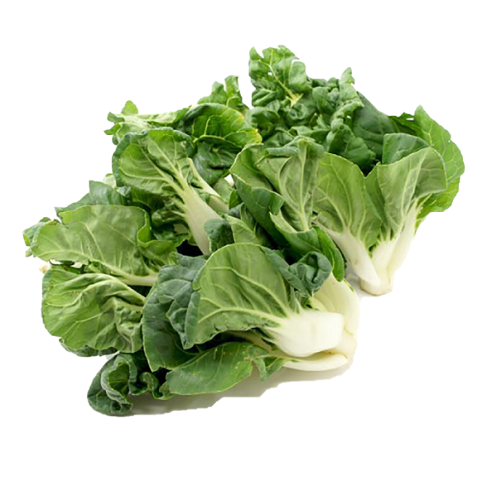 FRESH NAI BAI