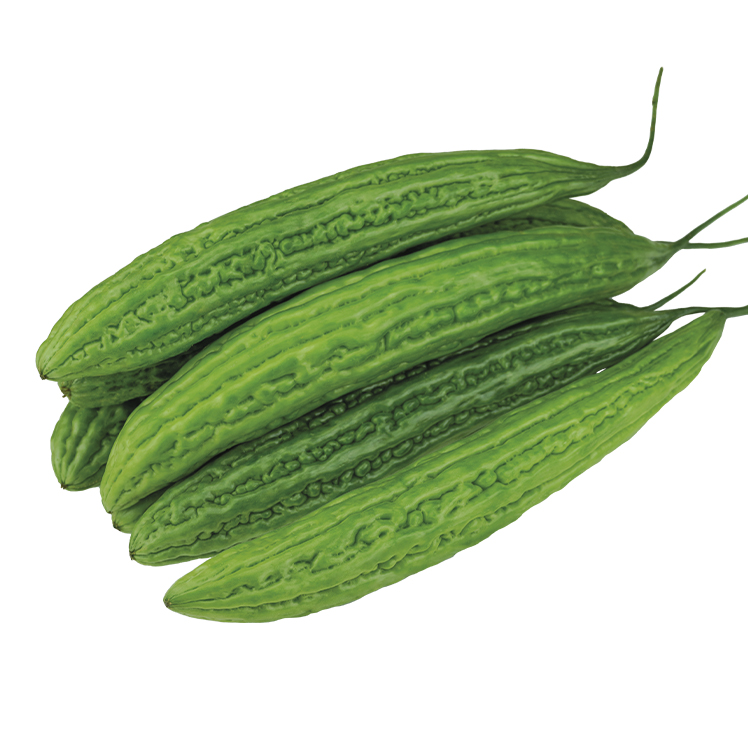 BITTER GOURD