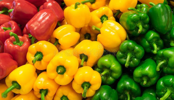 CAPSICUM