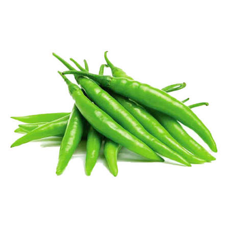 FRESH CHILI PADI GREEN