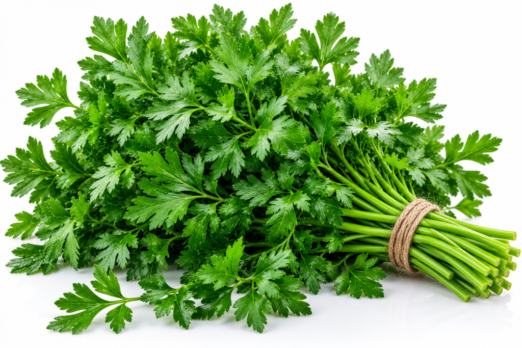 FRESH PARSLEY