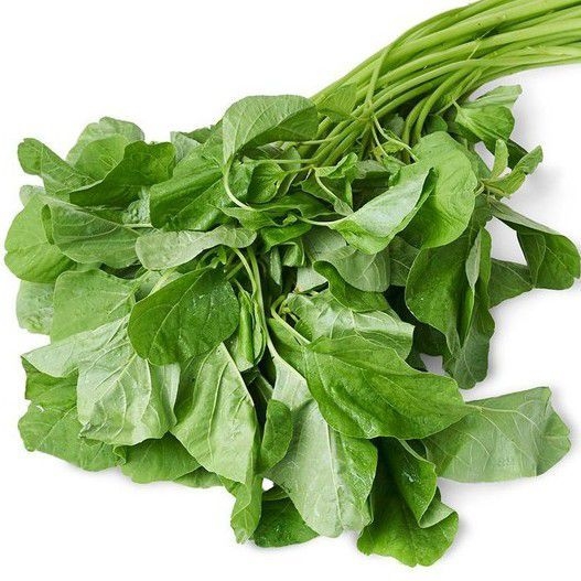 FRESH GREEN BAYAM