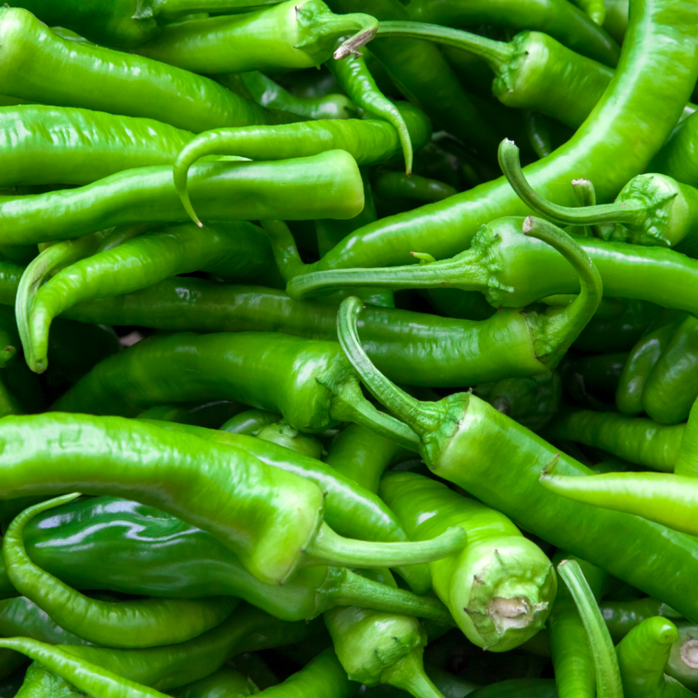 HOT CHILI GREEN