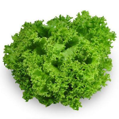 FRESH PRODUCE GREEN CORAL