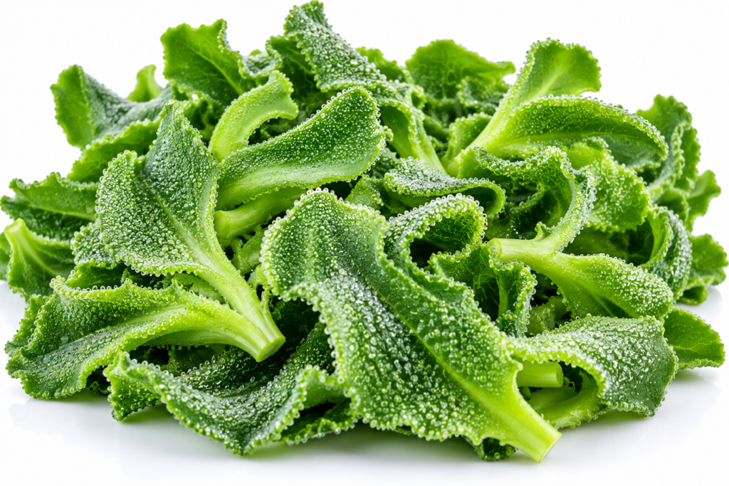 FRESH ICE PLANT