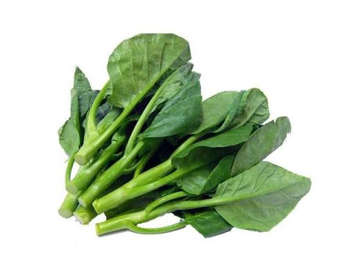 KAILAN