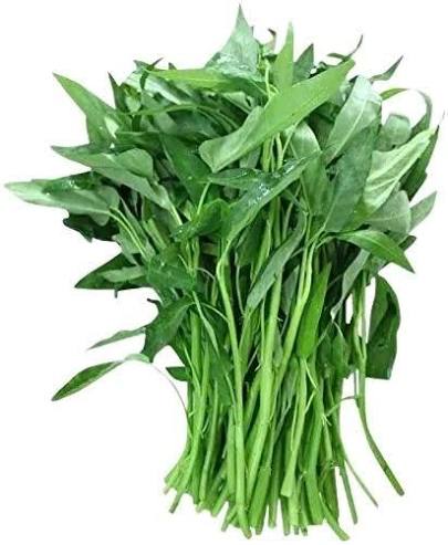 FRESH KANGKUNG