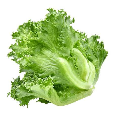 ICEBERG LETTUCE