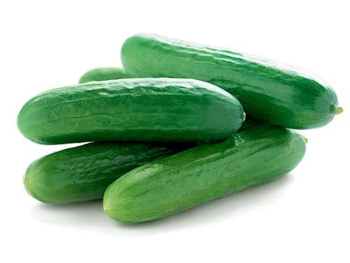 MINI CUCUMBER