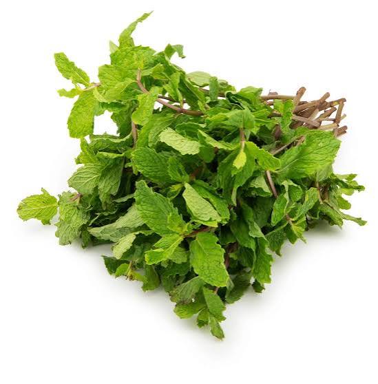 FRESH MINT