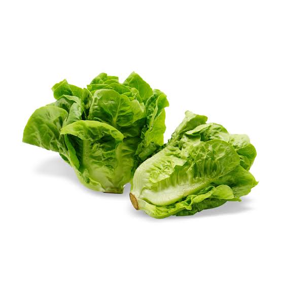 FRESH ROMAINE