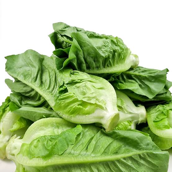 FRESH BABY ROMAINE