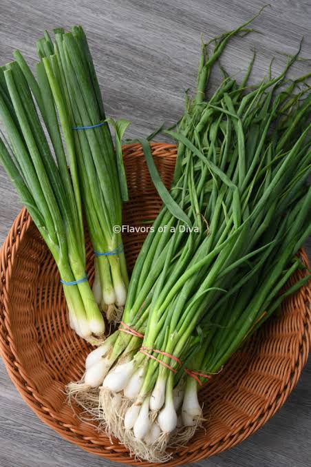 FRESH SPRING ONION