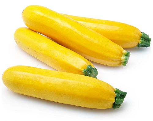 FRESH YELLOW ZUCCHINI