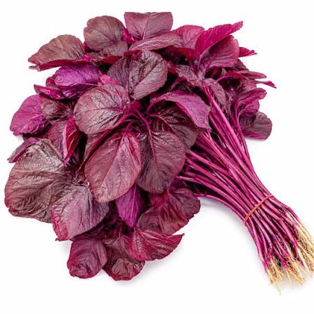 RED SPINACH